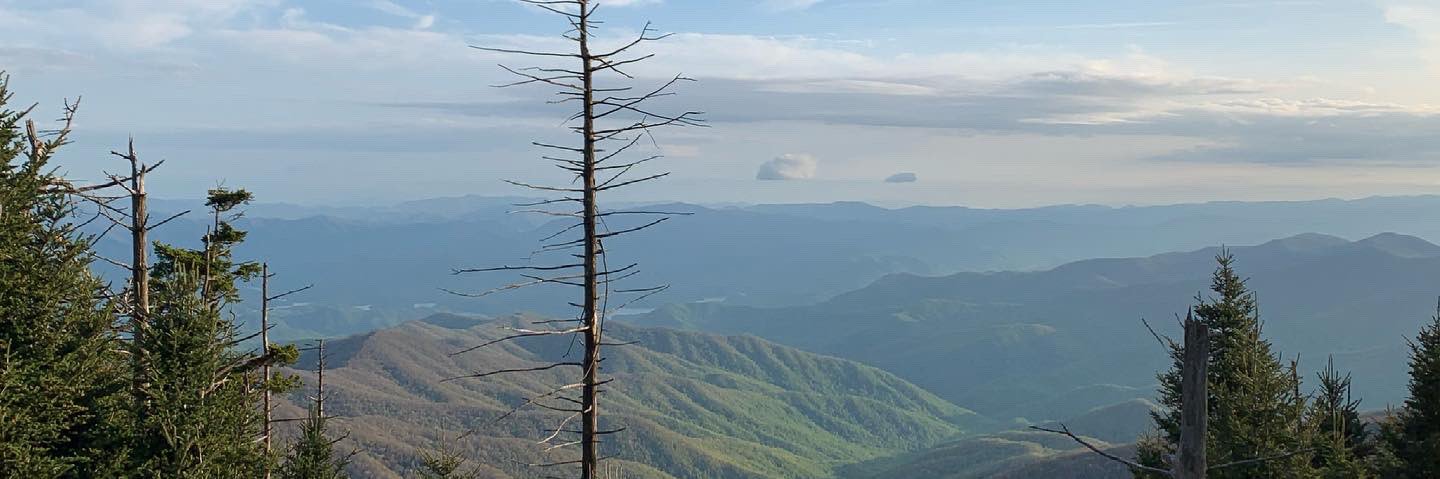 ashleycylkowski's profile banner image