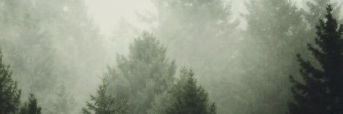fuckingmyfandom's profile banner image