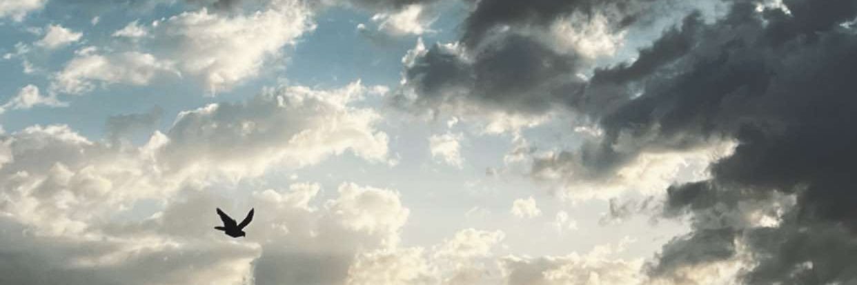 شَيءْ 🍃 banner