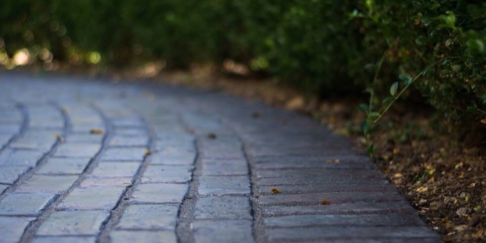 Copper Beech Custom banner