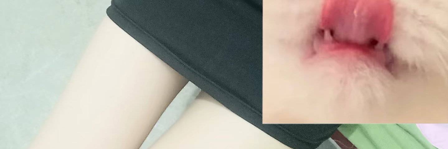 黄思琪 banner