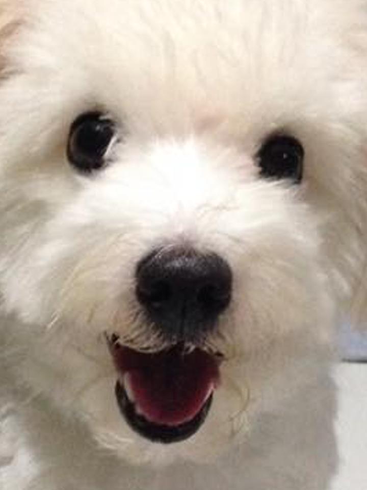 jemperey's profile banner image