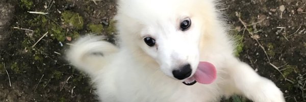dave__mr Profile Banner