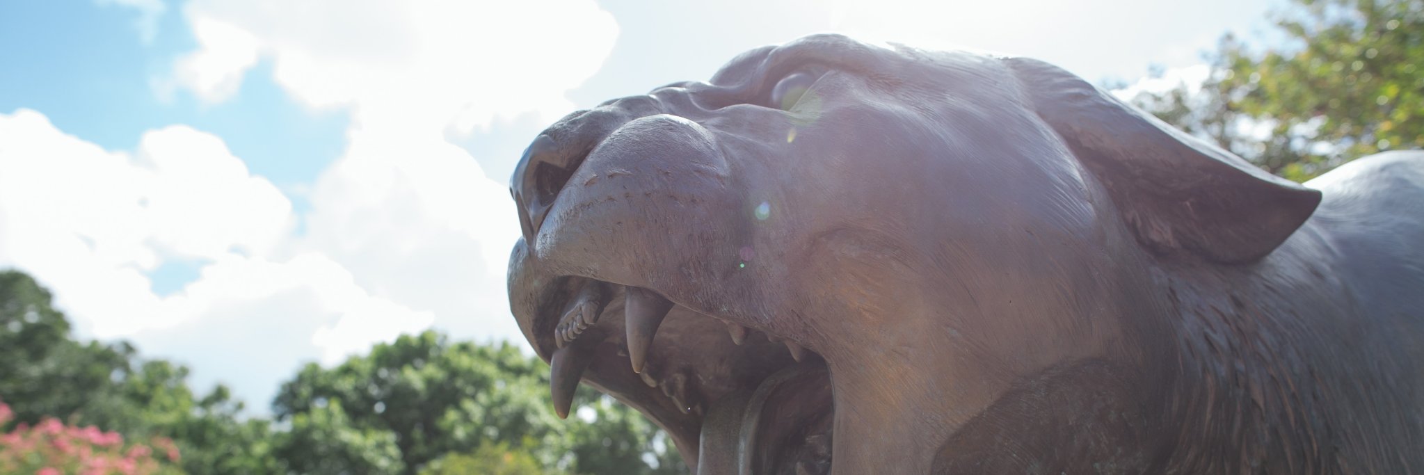 UHDOS's profile banner image