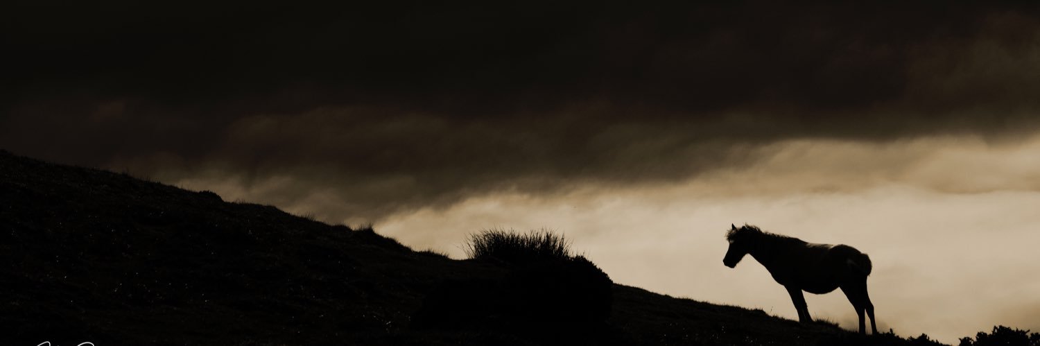 beyond1000hills's profile banner image