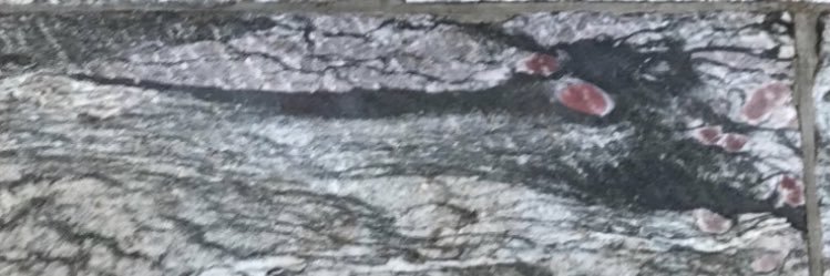 milagro_3's profile banner image