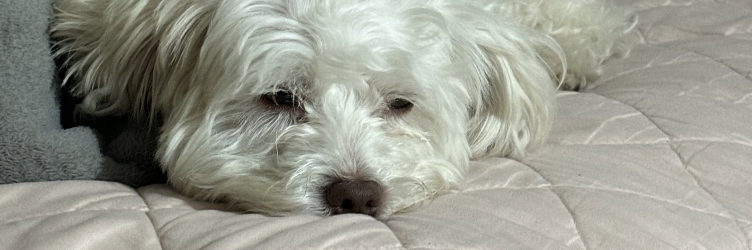 vickiefernanda's profile banner image