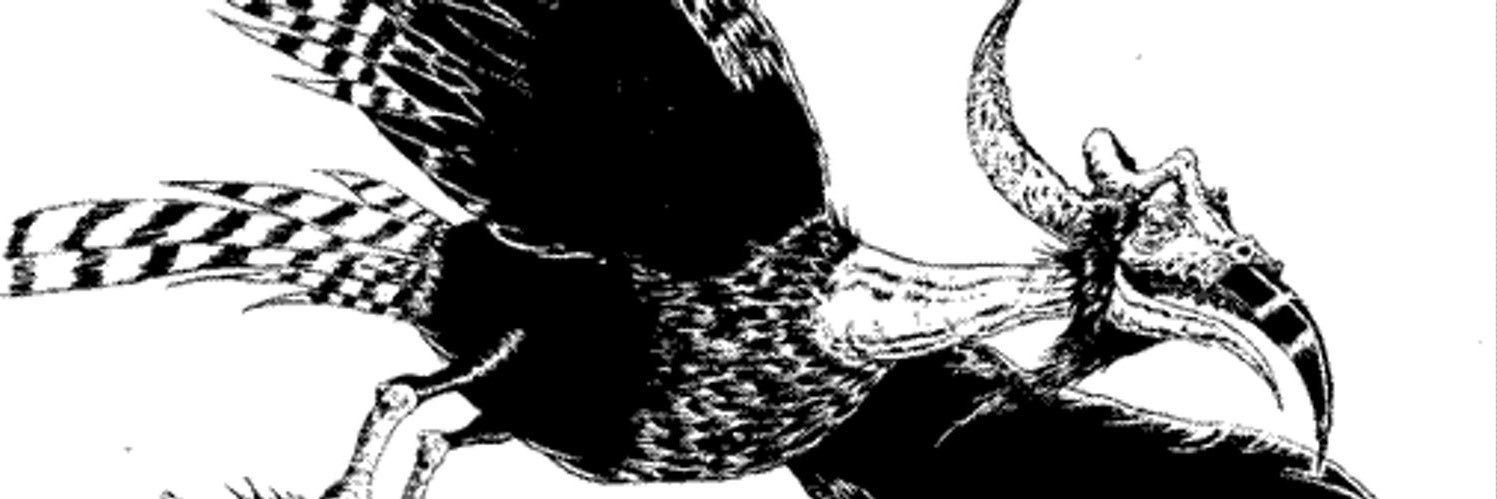 mart_marasca's profile banner image