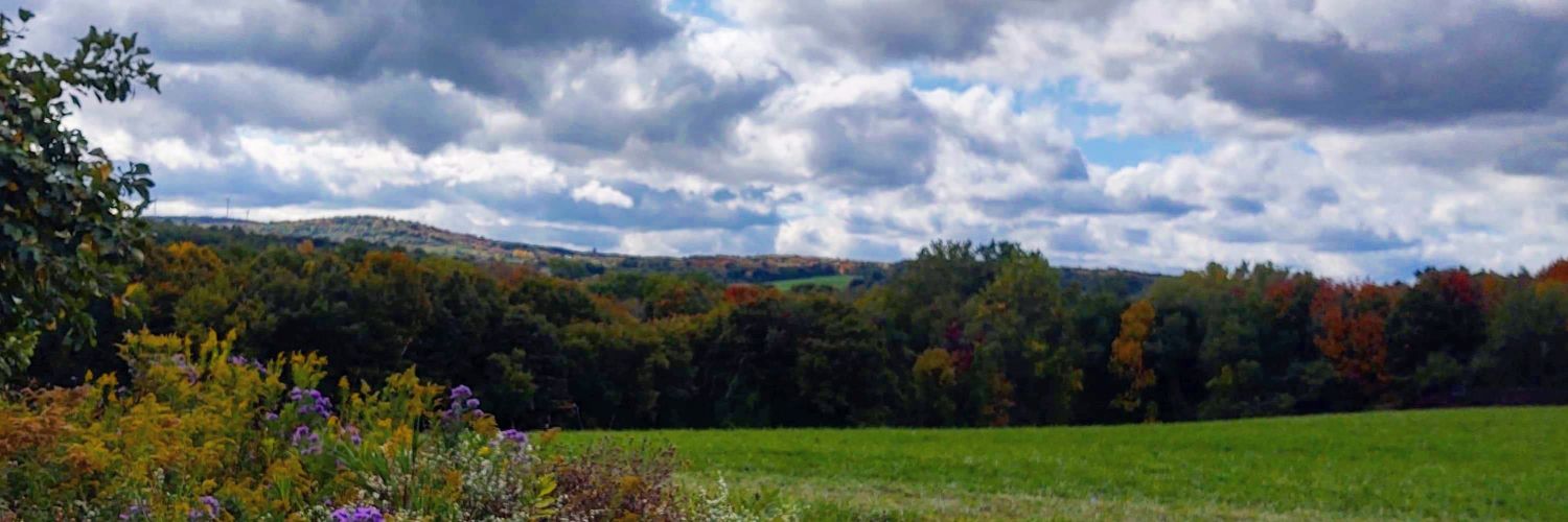lyssconn's profile banner image