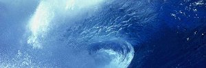 Dolphin_Luv_2's profile banner image