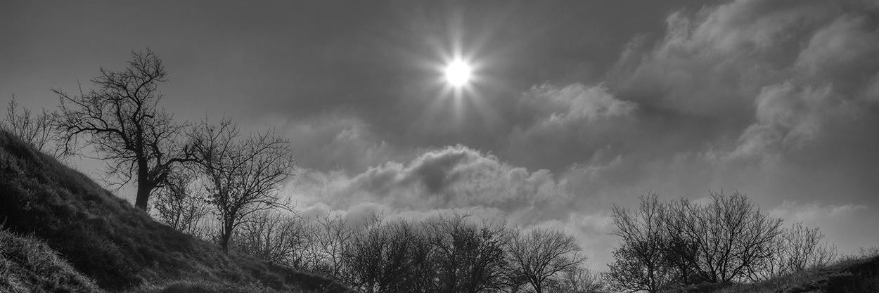 mbiggs92's profile banner image