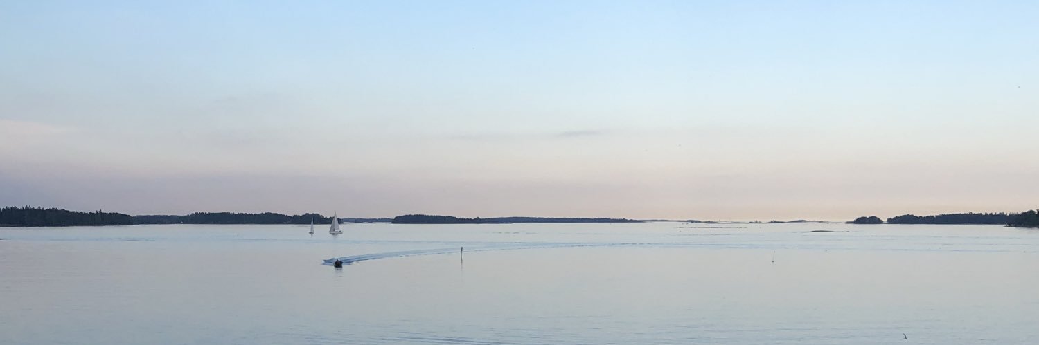 Sari Autio banner