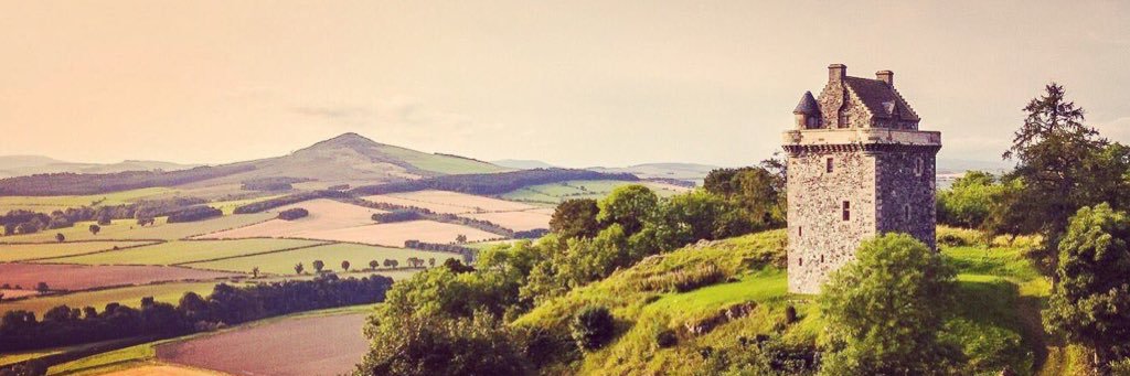Arge528's profile banner image