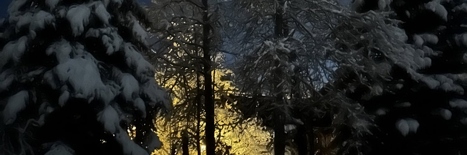 Christina Harbridge🟧 banner