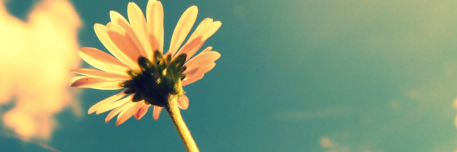 krystizzle97's profile banner image