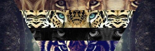 Rokendos's profile banner image