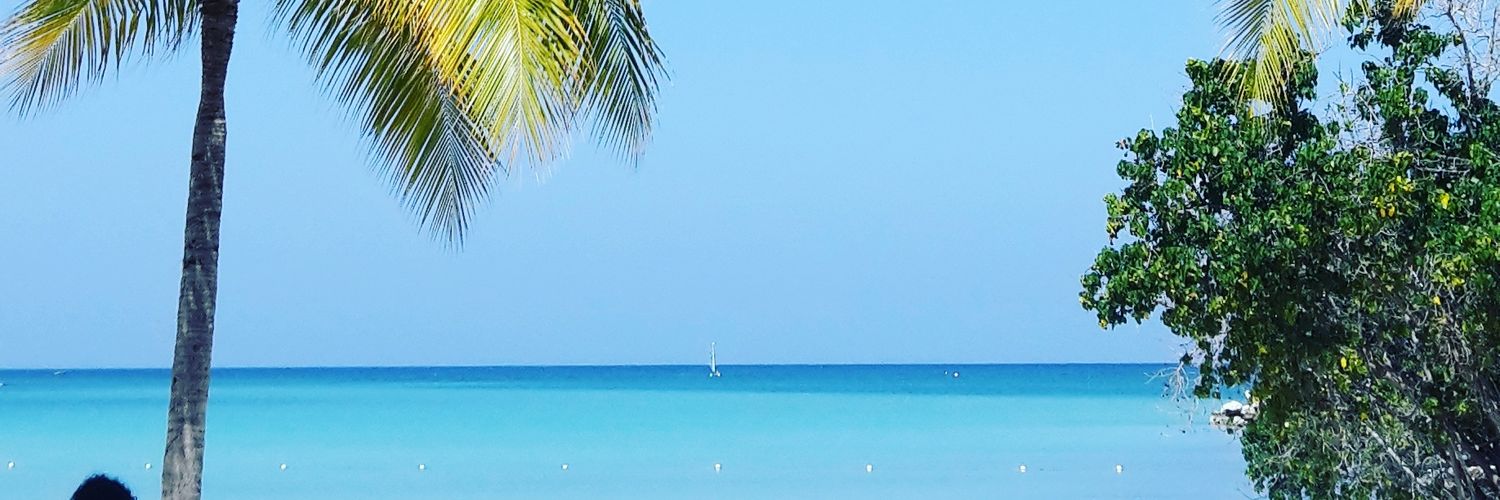 James Raymond banner