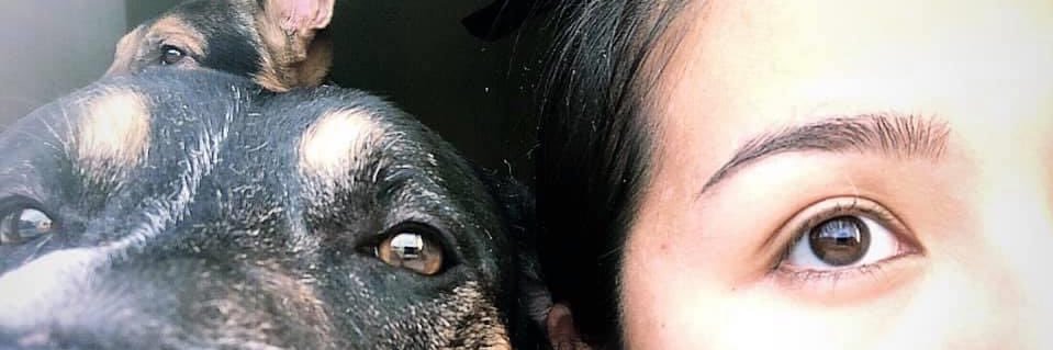saoriki77's profile banner image