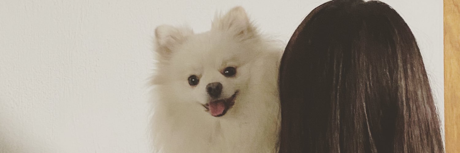 camarenaaidee's profile banner image