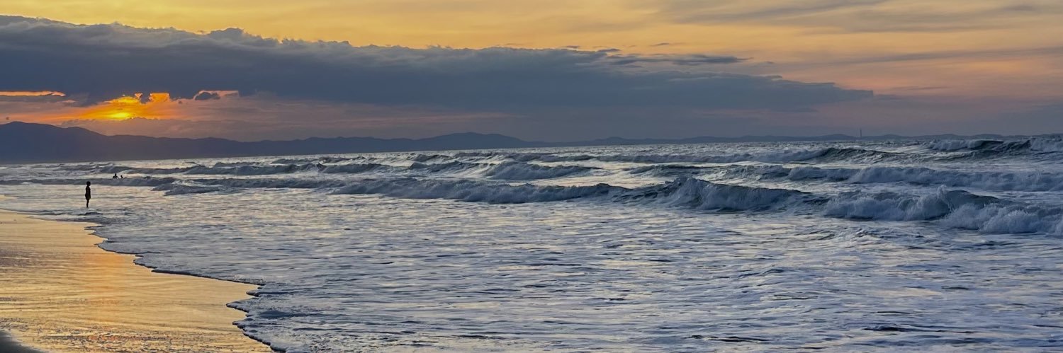 alexiaaaee's profile banner image