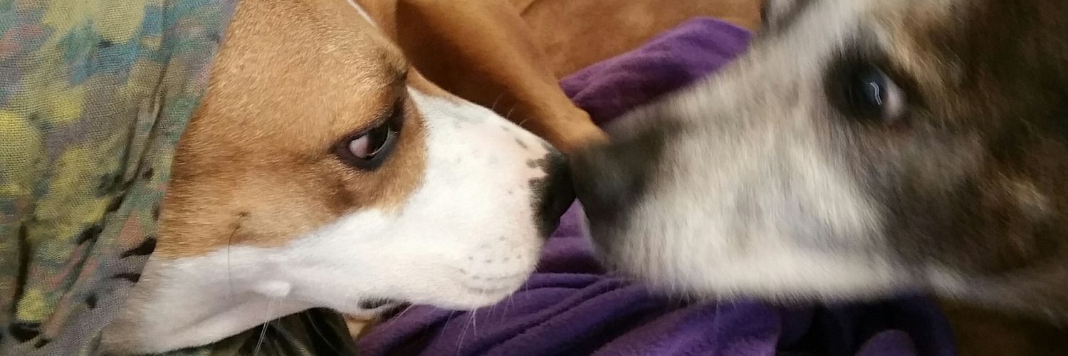 Ruby and Gus (Angel Punkie) banner