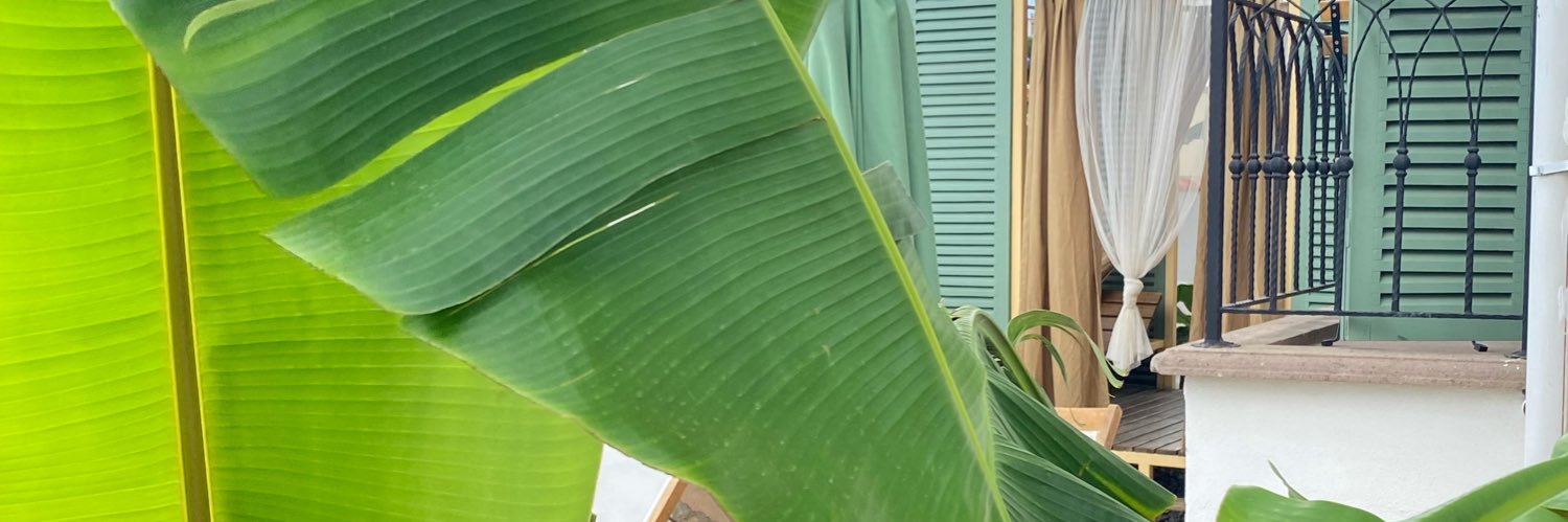 ezgilimo's profile banner image