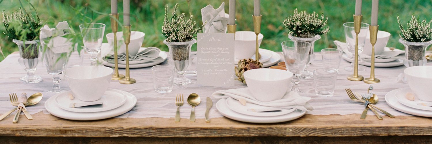 Premier Party banner