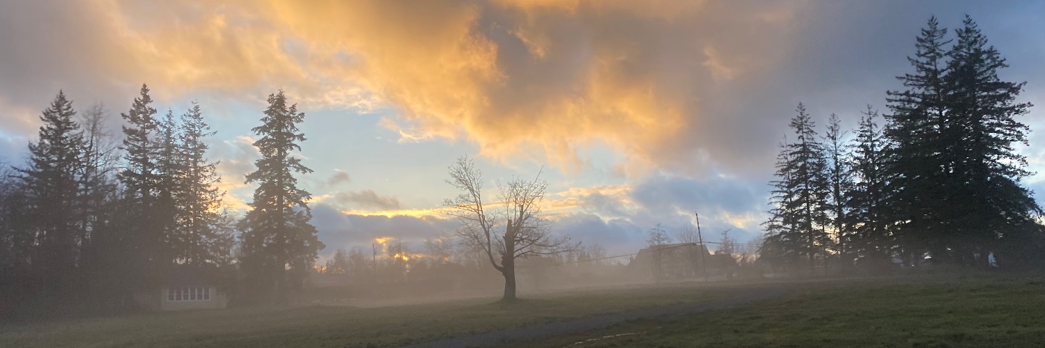 Richard Shimooka banner