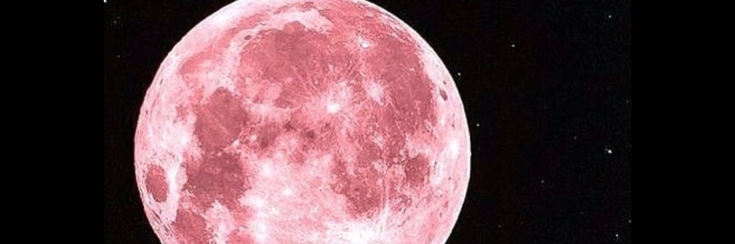 Jess_Tweetin's profile banner image