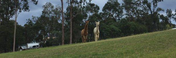 SunnyHeartQLD Profile Banner