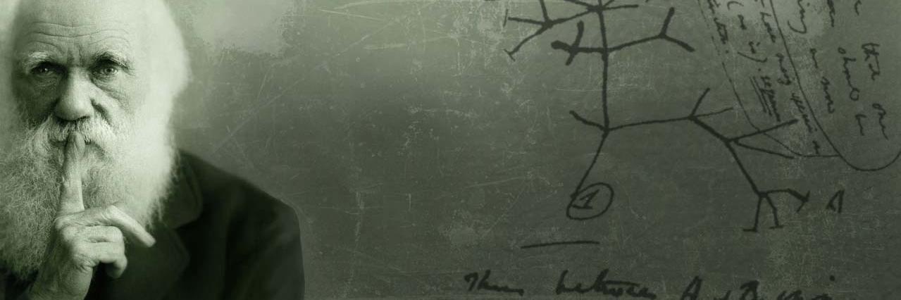henriquepalin's profile banner image