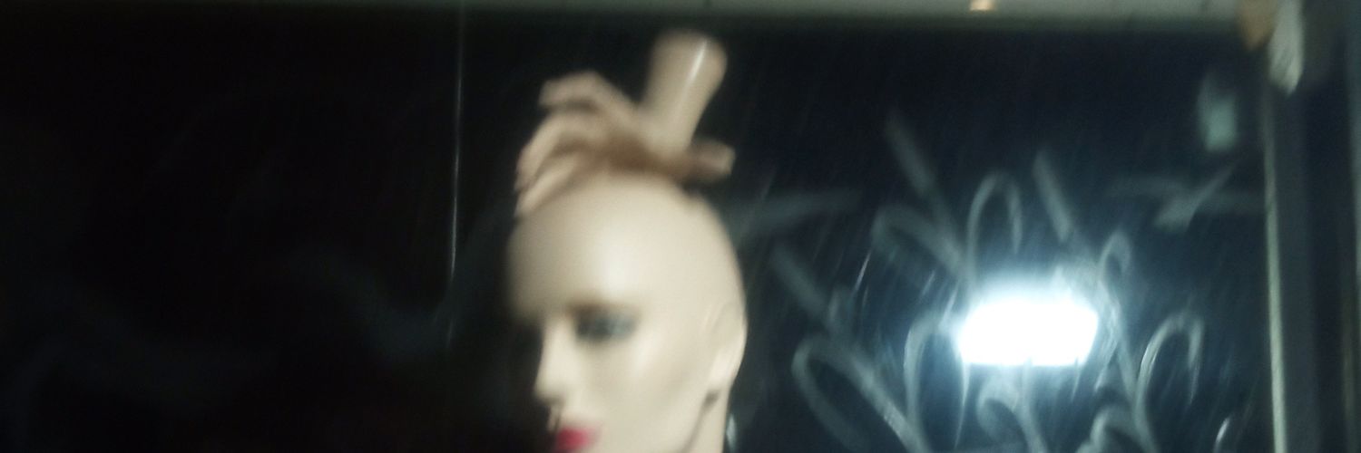 Geodivagando's profile banner image