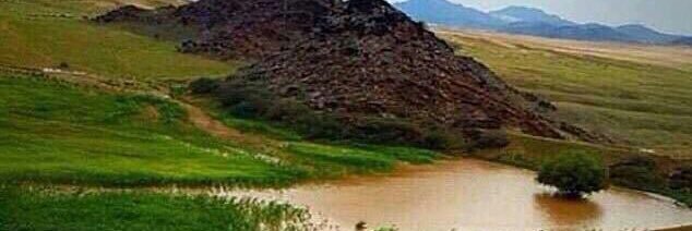 dbenhwelah's profile banner image