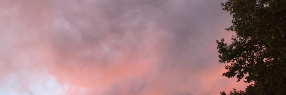VarelaAraceli's profile banner image