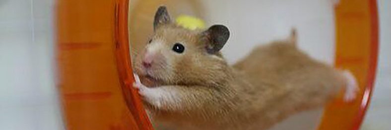 TheJamster17's profile banner image