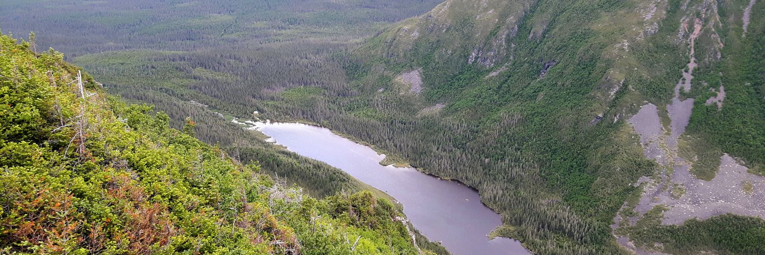 Frédéric D'Astous banner