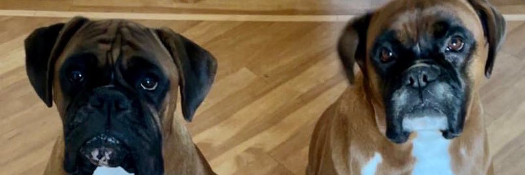 Stephen McCullough banner