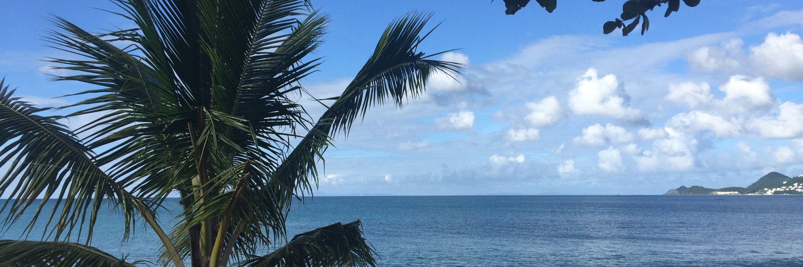 Adridude's profile banner image