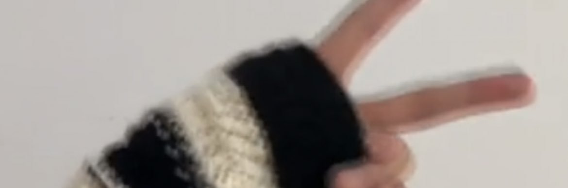 chiishuii's profile banner image