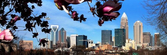charlotteama's profile banner image
