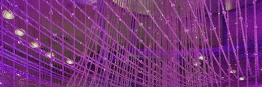 lizbomar's profile banner image