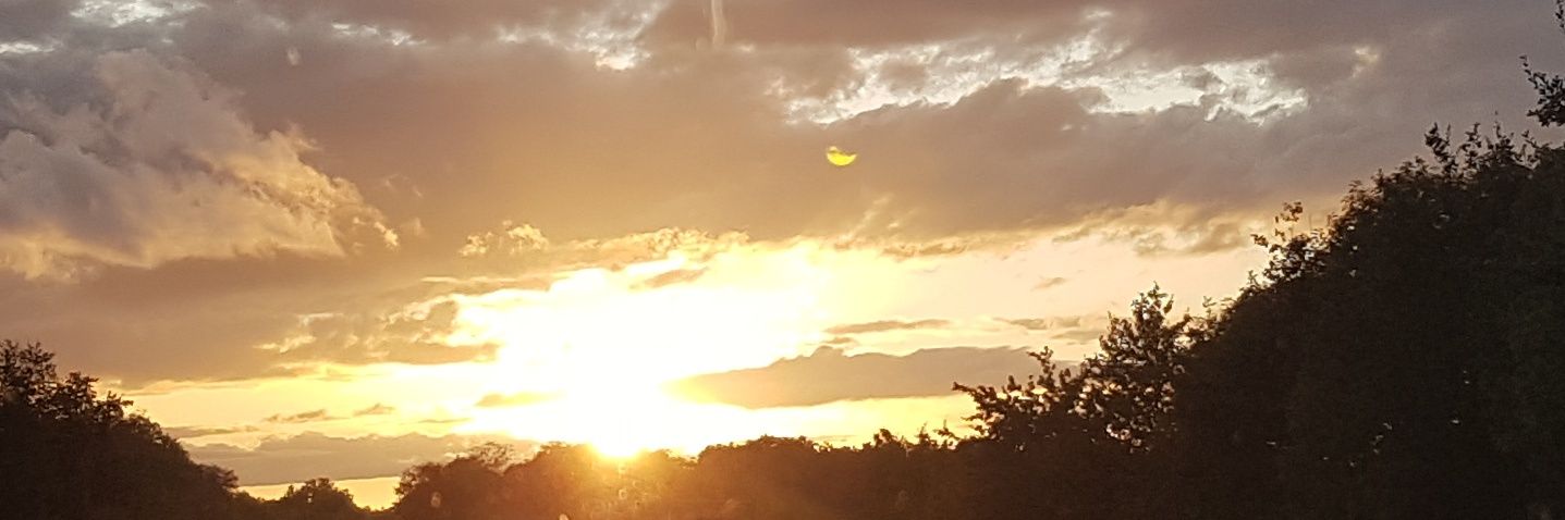 VictorBdx's profile banner image