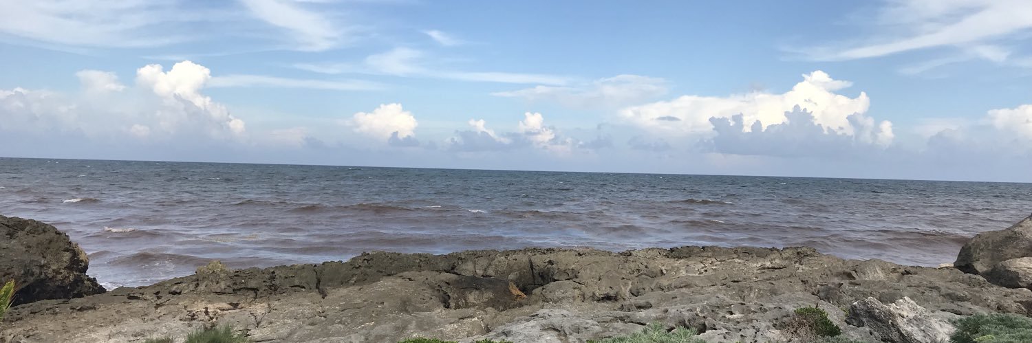 downeylc's profile banner image