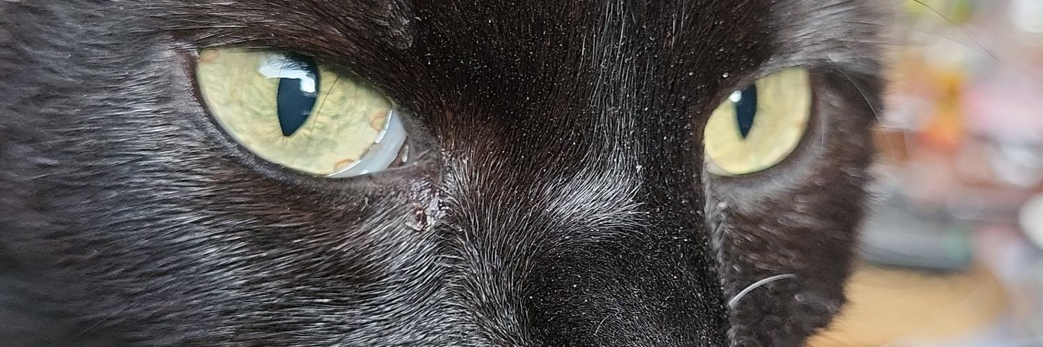 milo1001's profile banner image