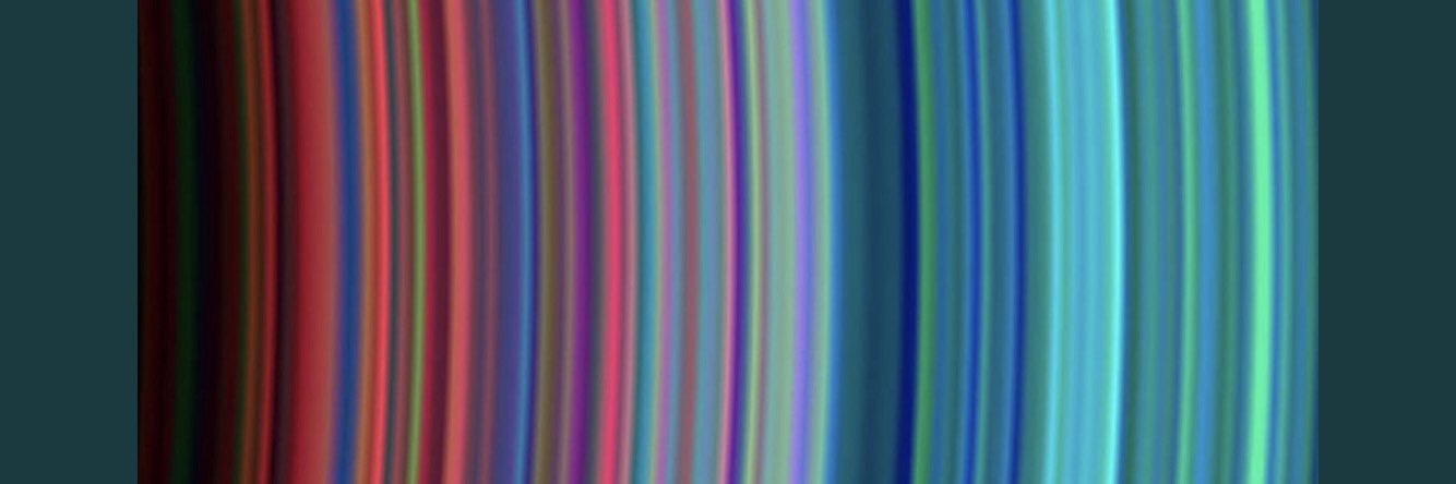 lhefonseca's profile banner image