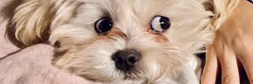 theALEXX's profile banner image