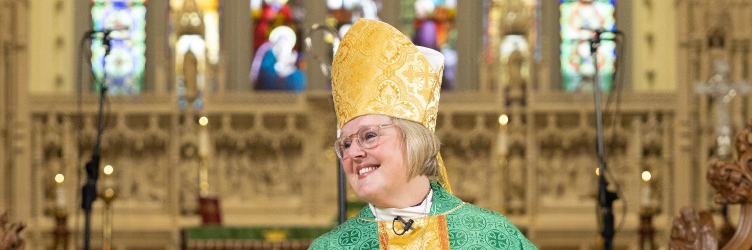 Diocese of Niagara banner