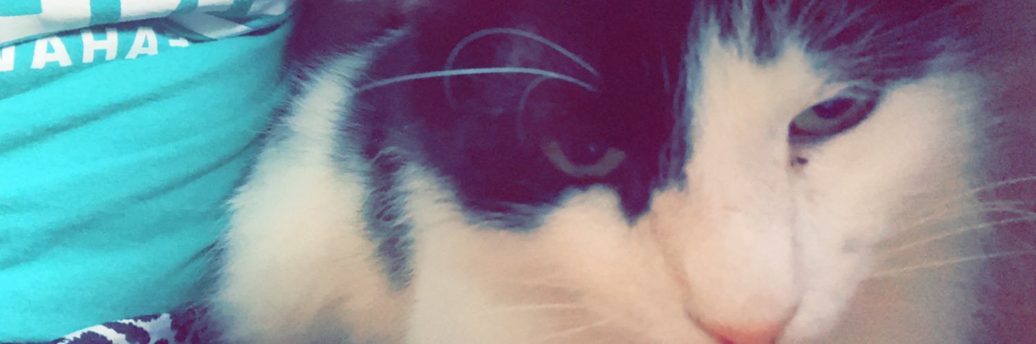 Maddierae08's profile banner image