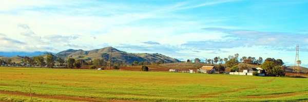 GilroyDispatch Profile Banner