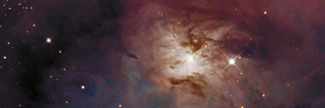 kylienicolepd's profile banner image
